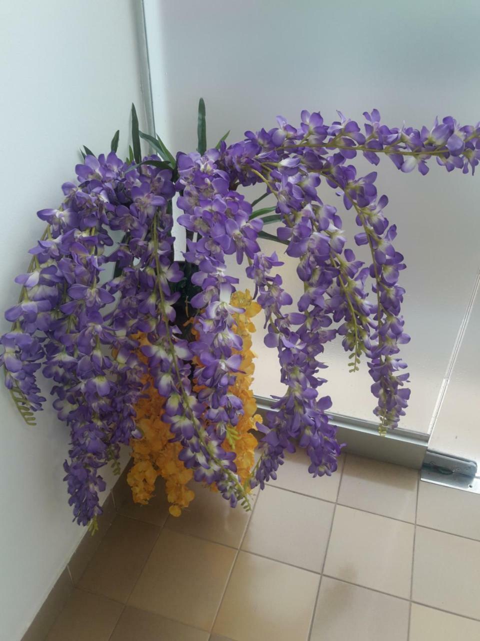 Hotel Casa Jardin 亚松森 外观 照片